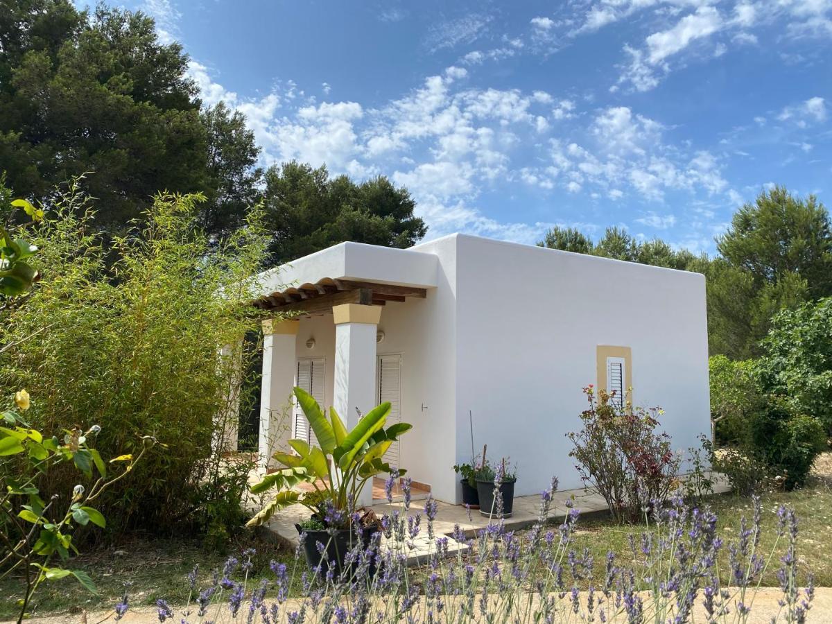 Villa Can Toni Miquelí Santa Gertrudis  Exterior foto